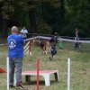 foire-haricots 2011-09-17et18